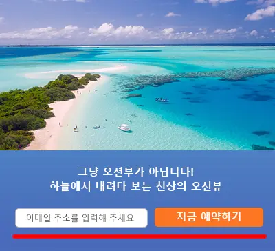 콜투액션 예시 예약 입력 양식