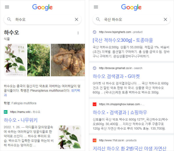 하수오-검색의도