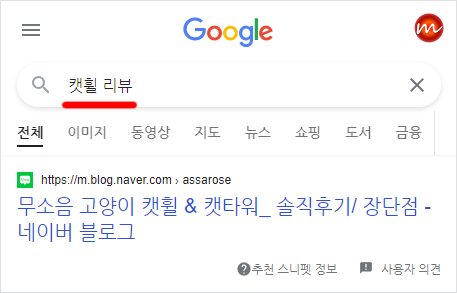 구글 검색에서 캣휠 검색
