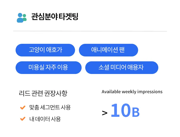 대행업무 소개 정교한 잠재고객 타겟팅, 맞춤 타겟팅, 타겟팅 최적화